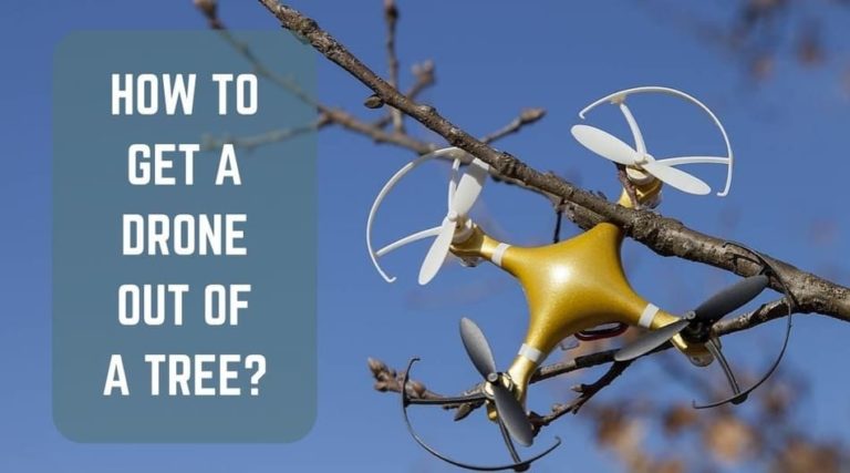 How to Get a Drone Out of a Tree? Best Ways