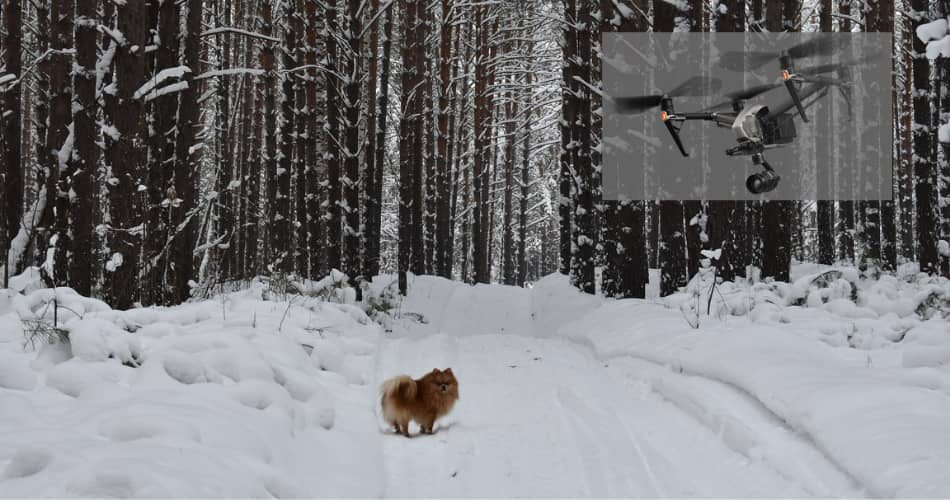 Drones for Animal Rescue Drones for Animal Rescue